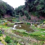 Tour to Parque Tricao + Aviario and Pomaire full day from Santiago - Transportation and Logistics