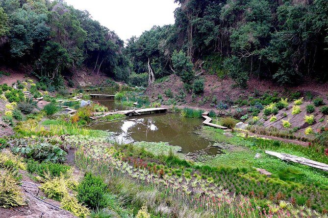 Tour to Parque Tricao + Aviario and Pomaire full day from Santiago - Transportation and Logistics