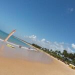 Tour to Praia do Forte and Guarajuba - The Sum Up