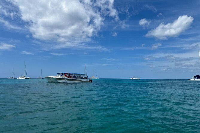 Tour to Saona Island with Lunch and Transportation - What We Love About This Tour