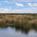 Tour to Uros and Taquile Islands in a Fast Boat - Practical Aspects of the Tour