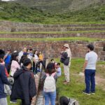 Tour Valle Sur Cusco Tipon, Pikillacta and Andahuaylillas - Who Is This Tour Best For?