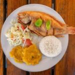 Tour Volcán Del Totumo - An In-Depth Look at the Tour Experience