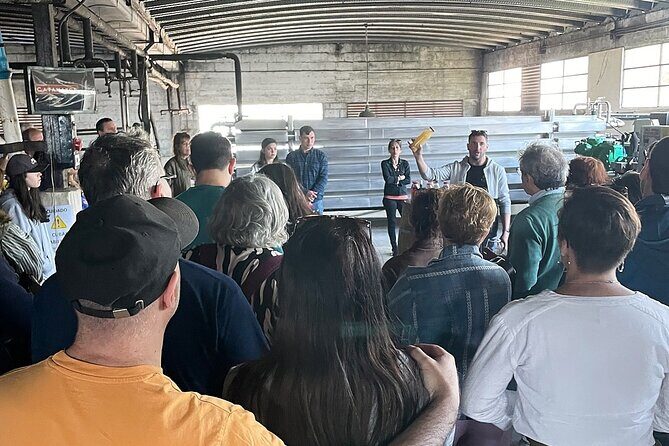 Tour with Premium Tasting - In-Depth Review of the Castillo Viejo Winery Tour