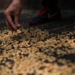 Traditional Coffee Farm Experience at Hacienda Coloma from Bogotá - Practical Details