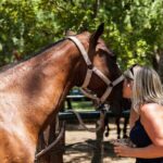 Traditional Gaucho Festival Full Day Tour from Buenos Aires - An In-Depth Look at the Gaucho Festival Tour