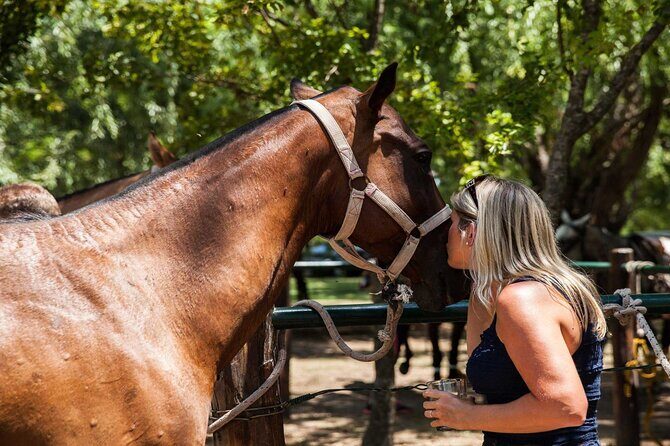 Traditional Gaucho Festival Full Day Tour from Buenos Aires - An In-Depth Look at the Gaucho Festival Tour