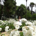 Traditional Undurraga tour - Who Should Consider This Tour?