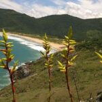Trail through Lagoinha do Leste in Florianopolis - Why This Tour Stands Out