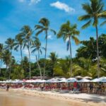 Trancoso: Guided Tour of the Most Beautiful Beaches - Who Will Love This Tour?