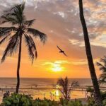 Transfer 4x4 Jericoacoara Airport - Final Thoughts: Why This Transfer Works