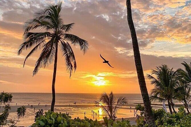 Transfer 4x4 Jericoacoara Airport - Final Thoughts: Why This Transfer Works