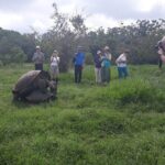 Transfer Airport-hotel in Galapagos Santa Cruz with visit to Giant Tortoises - The Value of the Experience