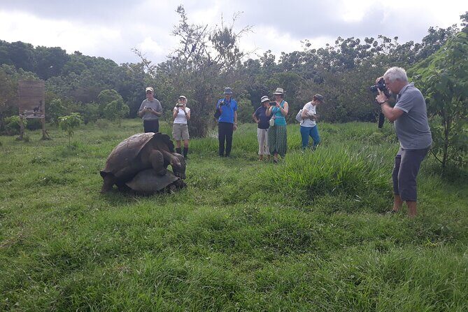 Transfer Airport-hotel in Galapagos Santa Cruz with visit to Giant Tortoises - The Value of the Experience
