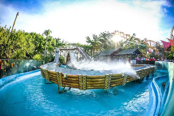 Transfer Beto Carrero - A Practical Review of the Florianopolis to Beto Carrero Transfer Experience