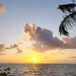 Transfer from Maceió to São Miguel dos Milagres - Who Should Consider This Transfer?