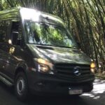 Transfer from Salvador Airport to North Coast of Bahia - Who Should Consider This Transfer?