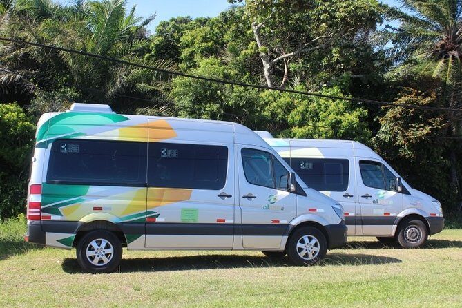 Transfer Hotel in Salvador / Salvador Airport - Why Choose This Transfer?