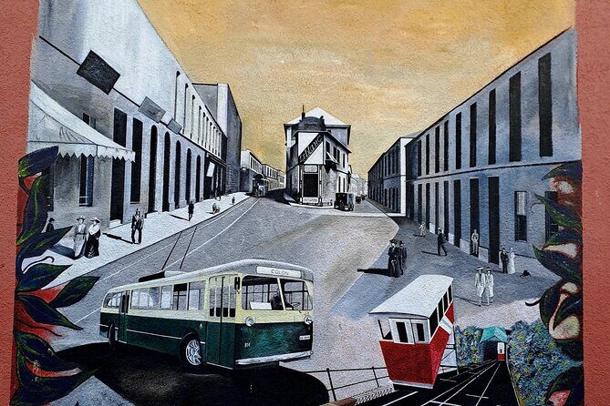 Transfer in/out cruise to/from Santiago plus tour Valparaiso - Who This Tour Is Best For