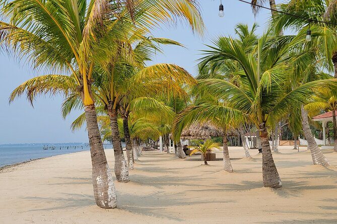 Transfer in Placencia from/to Belize Airport BZE and Belize City - Why This Transfer Service Stands Out