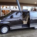 Transfer one way from San Jose or Airport to Hotel RIU Guanacaste - Why Choose This Transfer?