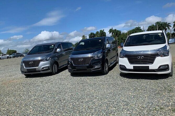 Transfer Private puj Hotel Viva Miches from 1 to 5 pax (via) - A Deeper Look at the Transfer Experience