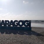 Transfer Recife Airport To Maragogi/AL 1 to 4 people - Itinerary & Experience Breakdown