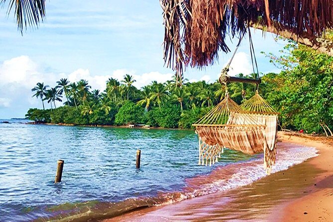 Transfer Salvador to Barra Grande Round Trip - The Sum Up: Is This Transfer Right for You?