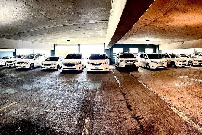 Transfer SJU Airport to Dorado. Hotels and Airbnb. Vice Versa One Way Trip. - Detailed Breakdown of the Itinerary