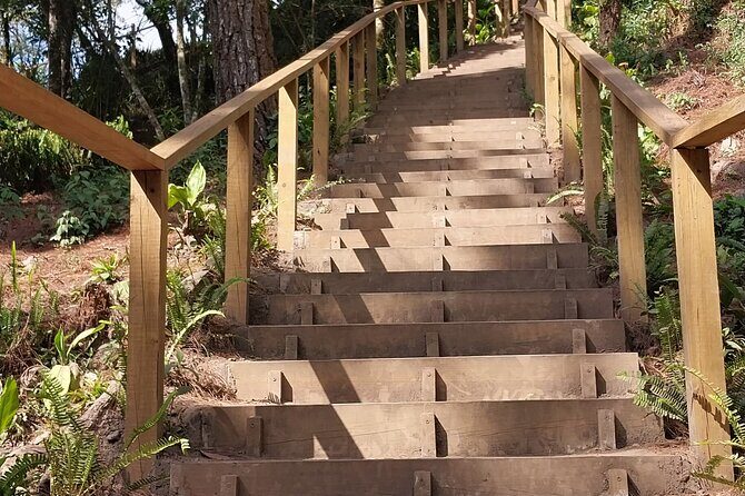 TRANSFER TO EL BOQUERON SAN SALVADOR NATURAL PARK VOLCANO - At El Boquerón National Park