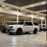 Transfer TO or FROM: Airport,Cruise,Hotel in DORADO or RIO GRANDE - Who Is This Service Best For?