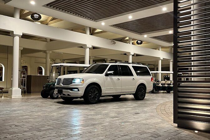 Transfer TO or FROM: Airport,Cruise,Hotel in DORADO or RIO GRANDE - Who Is This Service Best For?