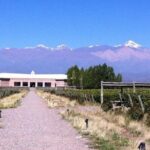 Transfer to Salentein Uco Valley with Lunch and Visit - Who Should Book This Tour?