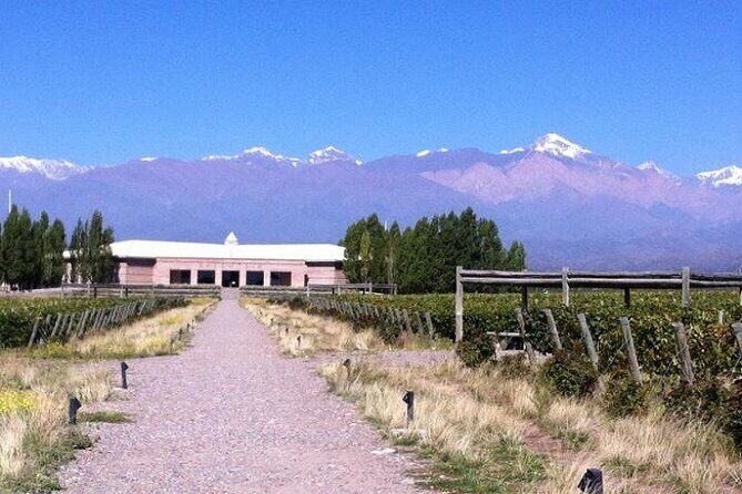 Transfer to Salentein Uco Valley with Lunch and Visit - Who Should Book This Tour?