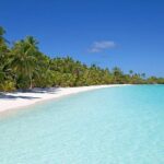 Transfers, Zip Line and Monkey Park - The Final Word