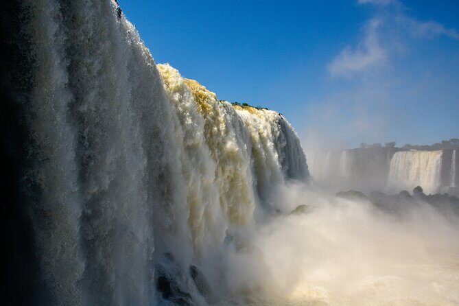 Transport to the Falls + Parque das Aves in a family vehicle. - The Itinerary in Detail