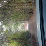 Transportation Cusco> Ollantaytambo visiting Chinchero, Moray and Salineras. - Final Thoughts: Is This Tour Right for You?