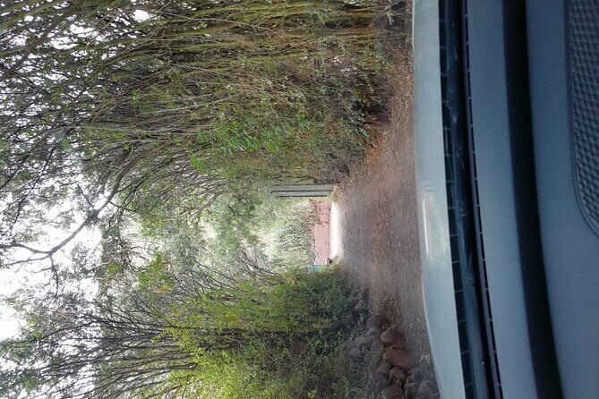 Transportation Cusco> Ollantaytambo visiting Chinchero, Moray and Salineras. - Final Thoughts: Is This Tour Right for You?