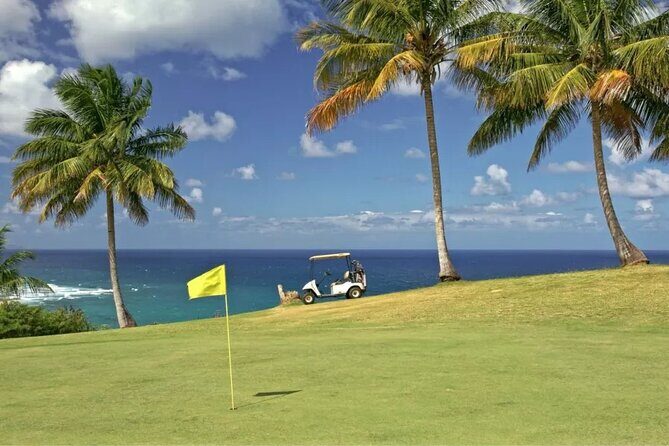 Transportation from Runaway Bay Hotels to Golfing Cinnamon Hill - Why Choose This Service?