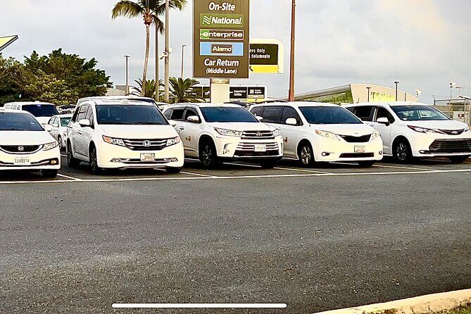 Transportation to Fajardo and Ceiba. Hotels and Airbnb vice versa One Way Trip. - The Experience in Detail