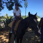 Transportation to Horse Back Ride & Swim Adventure from Ocho Rios - The Sum Up