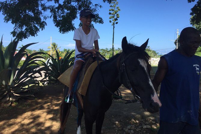 Transportation to Horse Back Ride & Swim Adventure from Ocho Rios - The Sum Up