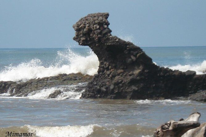 Transportation to Playa SUNZAL, ZONTE, EL TUNCO, ATAMI PALMARCITO - Who Should Consider This Transfer?