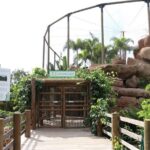 Transportation to the National AVIARY of Colombia - The Sum Up