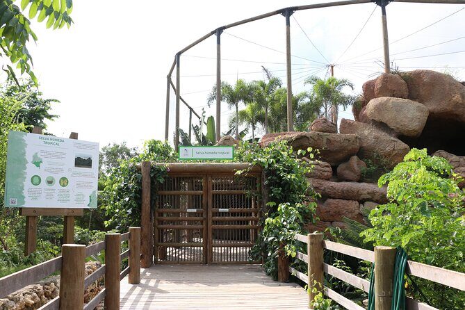 Transportation to the National AVIARY of Colombia - The Sum Up