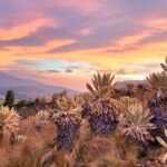 Traversing Ecuador's Icons and Hidden Gems - Adventure and Nature in Baños and Beyond