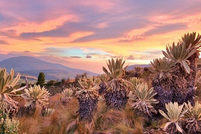 Traversing Ecuador's Icons and Hidden Gems - Adventure and Nature in Baños and Beyond