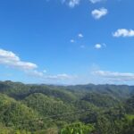 Treasure Beach Craft & Pineapple Farm Experience- Jamaica - Final Thoughts