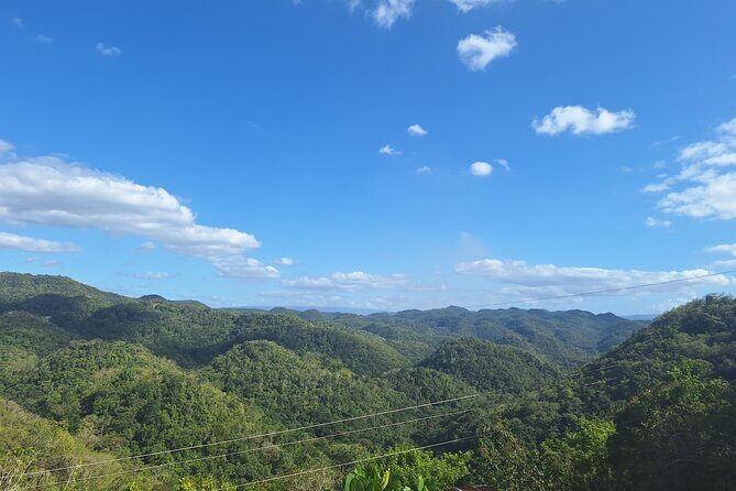 Treasure Beach Craft & Pineapple Farm Experience- Jamaica - Final Thoughts