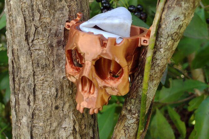 Treasure Hunt Adventure Hike and Discover Your Own Treasure - What’s Included and How the Tour Works